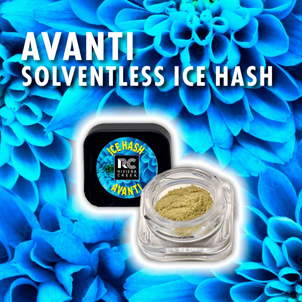Avanti Solventless Ice Hash