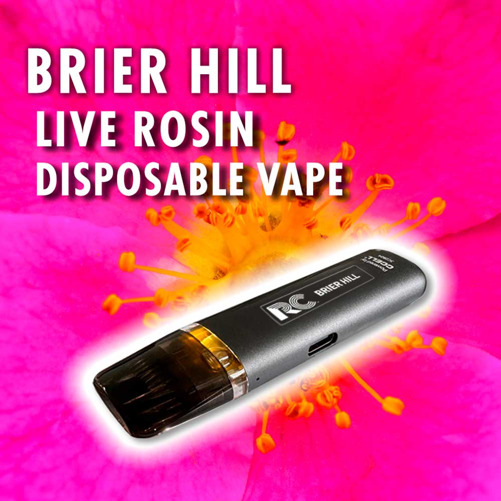 Brier Hill Live Rosin Disposable Vape