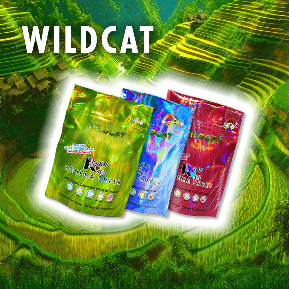Wildcat