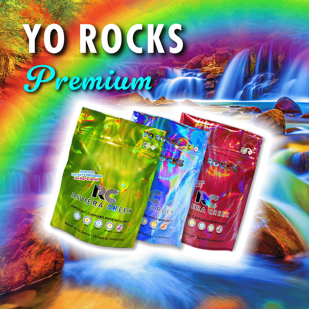 Yo Rocks Premium Colorful Bags