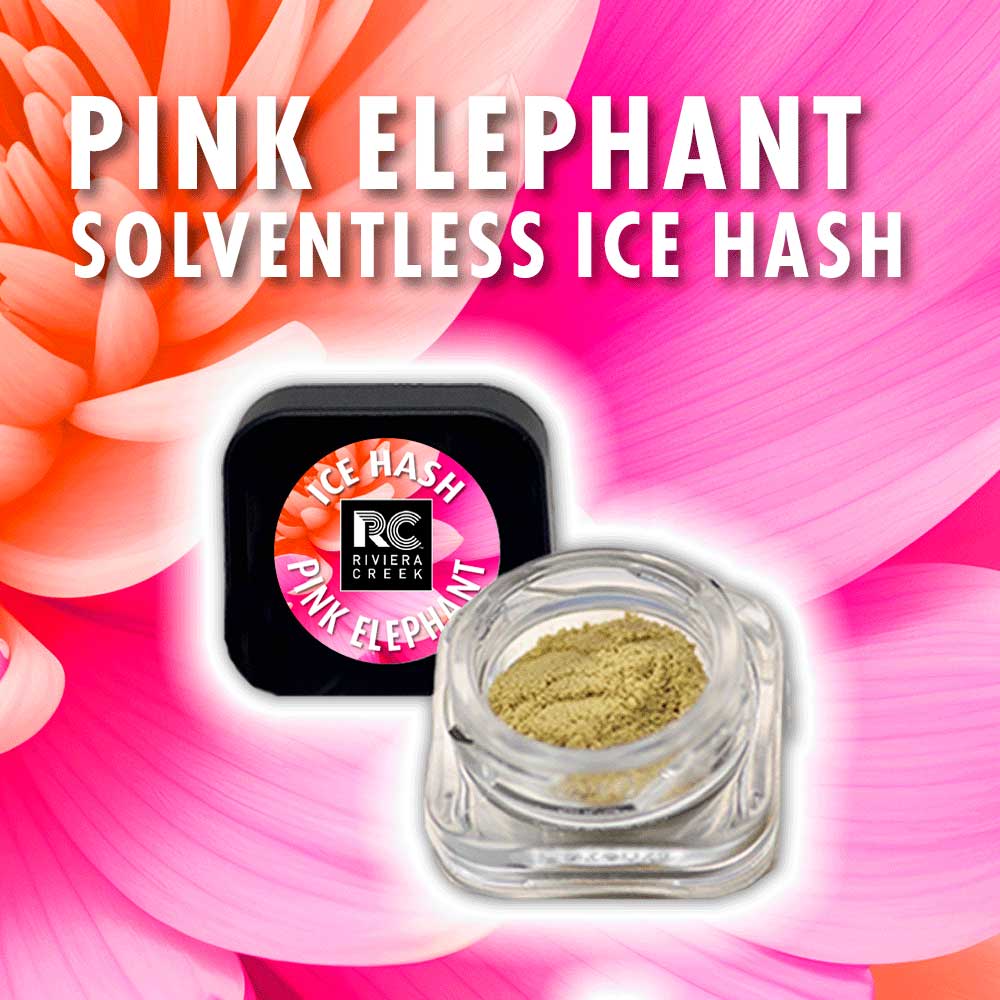 Pink Elephant Solventless Kief