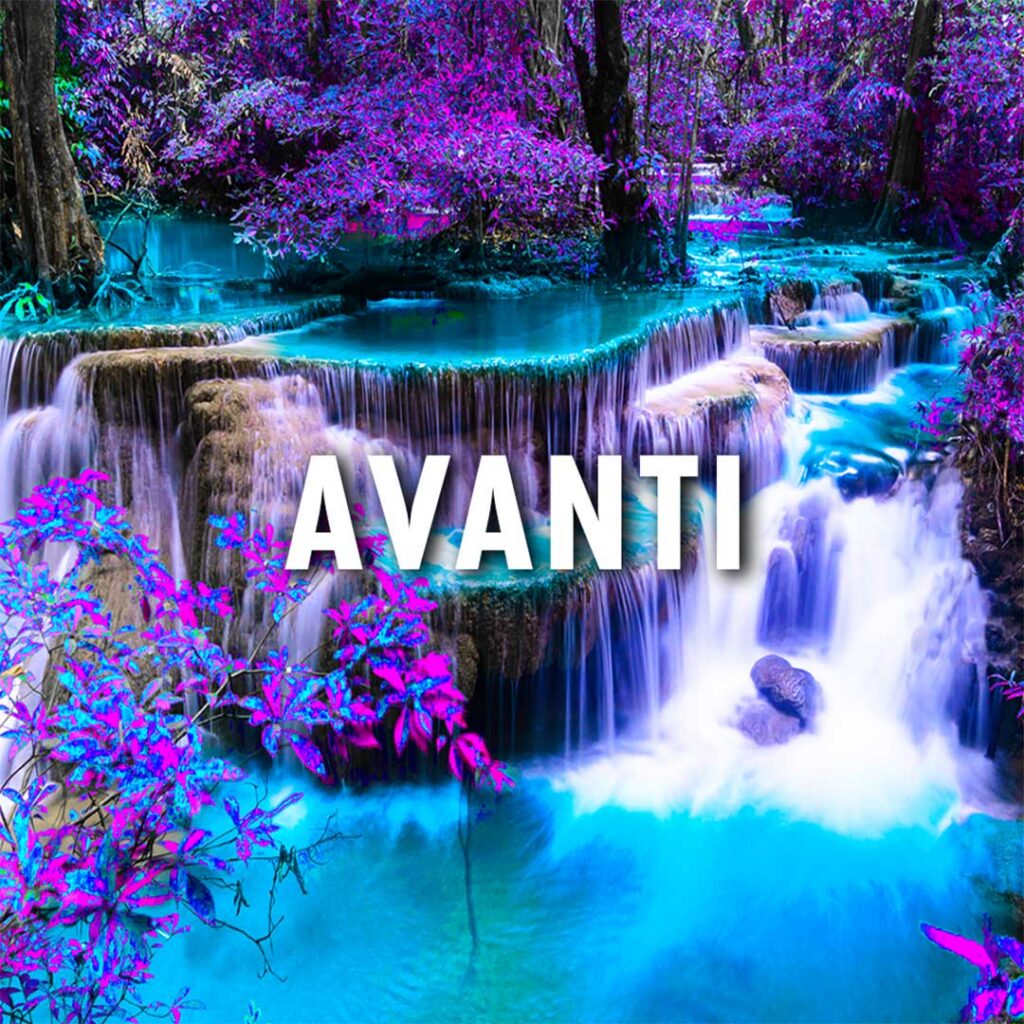 AVANTI-Just-name-(1)