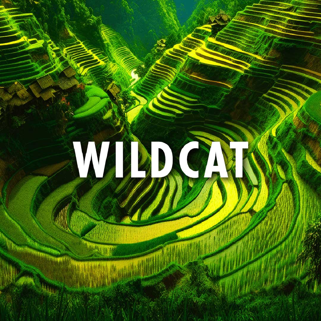 WILDCAT-just-name